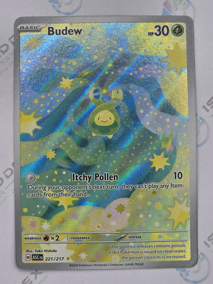 Budew - Ascended Heroes - 221/217