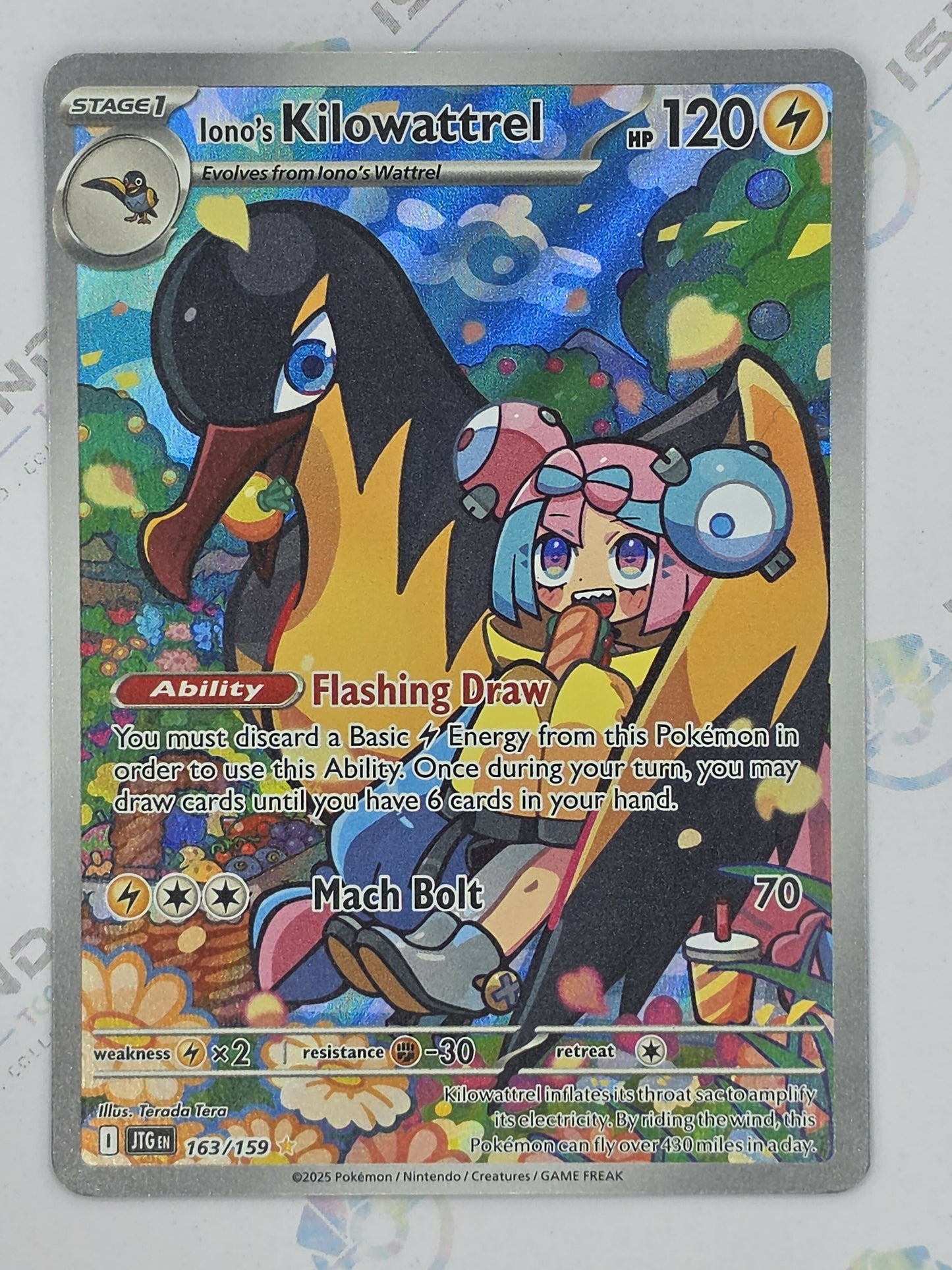 Iono's Kilowattrel - Journey Together - 163/159